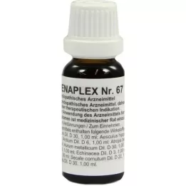 REGENAPLEX No. 67 drops, 15 ml