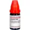 GRAPHITES LM VI Dilution, 10 ml