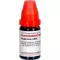 HYPERICUM LM VI Dilution, 10 ml