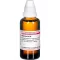 HAMAMELIS D 4 Dilution, 50mL