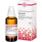 HYPERICUM D 2 Dilution, 50 ml