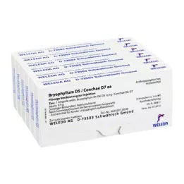BRYOPHYLLUM D 5/Conchae D 7 ampoules, 48X1 ml