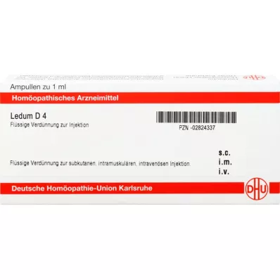 LEDUM D 4 ampoules, 10 ml