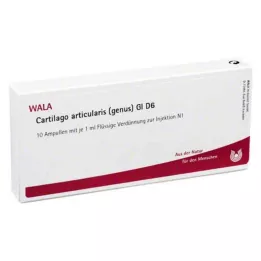 CARTILAGO articularis genus GL D 6 ampoules, 10X1 ml