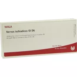NERVUS ISCHIADICUS GL D 6 ampoules, 10X1 ml