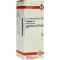 GRAPHITES D 6 Dilution, 50 ml