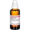 HAMAMELIS D12 Dilution, 50mL