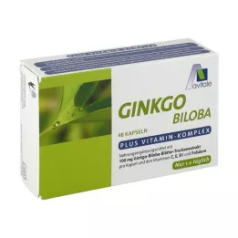 GINKGO 100 mg capsules+B1+C+E, 48 pcs