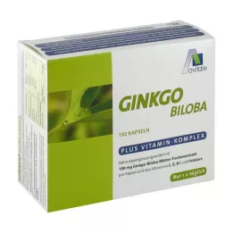 GINKGO 100 mg capsules+B1+C+E, 192 pcs