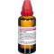 RUTA EXTERN extract, 50 ml