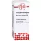 SPIRAEA ULMARIA D 2 Dilution, 20mL