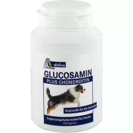 GLUCOSAMIN+CHONDROITIN capsules for dogs, 120 pcs