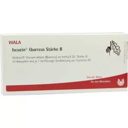 ISCUCIN quercus Strength B ampoules, 10X1 ml