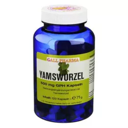 YAMSWURZEL 500 mg GPH capsules, 120 pcs