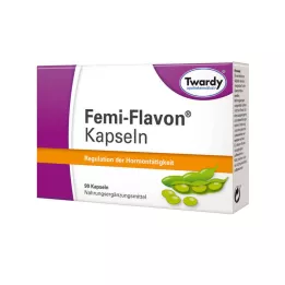 FEMI-FLAVON Capsules, 90 pcs