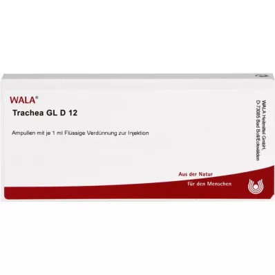 TRACHEA GL D 12 ampoules, 10X1 ml