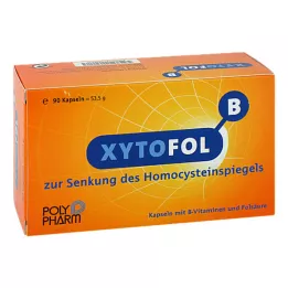 XYTO Fol B Capsules, 90 pcs
