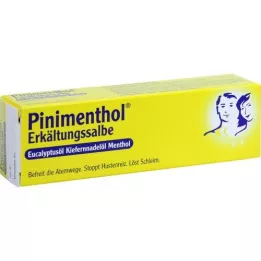 PINIMENTHOL Cold ointment Eucal./kiefern./Mmenth., 20 g