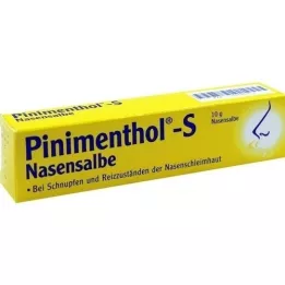 Pinimenthol S Nasensalbe, 10 g