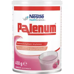 PALENUM Raspberry Powder, 450 g