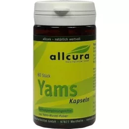 YAMS capsules 250 mg yamspulver, 60 pcs