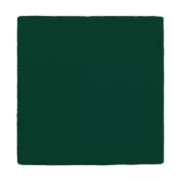 MULLKOMPRESSEN 10x10 cm 12-fold green, 100 pcs