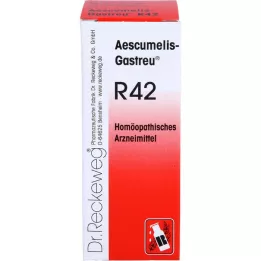 AESCUMELIS-Gastreu R42 mixture, 50 ml