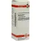 AGARICUS D 8 Dilution, 20 ml