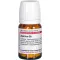 AGARICUS D 8 tablets, 80 pcs