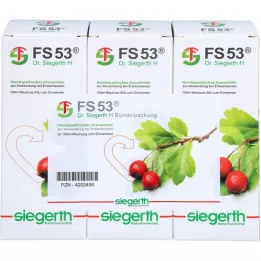 FS 53 Dr.Siegerth H liquid, 3x100 ml