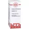 CACTUS D12 Dilution, 50mL