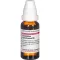 CEANOTHUS AMERICANUS D 3 Dilution, 20 ml