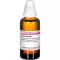 ECHINACEA HAB D 30 Dilution, 50mL