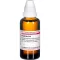 GRAPHITES D10 Dilution, 50mL