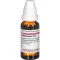MANDRAGORA D 12 Dilution, 20 ml