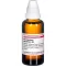 PHELLANDRIUM AQUATICUM D 3 Dilution, 50mL