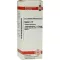 SEPIA C 12 Dilution, 20 ml