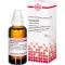 TARANTULA D12 Dilution, 50mL
