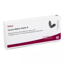 ISCUCIN abietis strength B ampoules, 10x1 ml