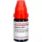 AGARICUS LM VI Dilution, 10mL