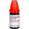 RUMEX LM VI Dilution, 10mL