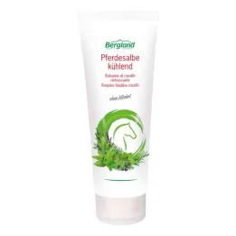 Horse ointment cooling (100 ml)