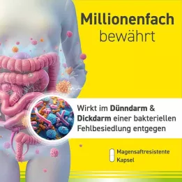 OMNIFLORA N hard capsules, 50 pcs