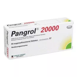 PANGROL 20,000 gastro-resistant tablets, 50 pcs