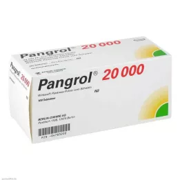 PANGROL 20,000 gastro-resistant tablets, 100 pcs