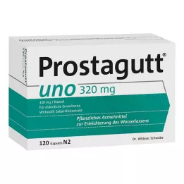 PROSTAGUTT uno capsules, 120 pcs