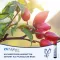 CH ALPHA Plus drinking ampoules, 30 pcs