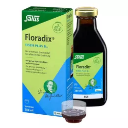 FLORADIX Iron plus B12 vegan tonic, 250 ml
