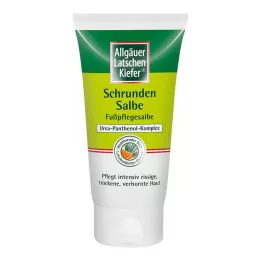 ALLGÄUER LATSCHENK. Cracked skin ointment LK-Orange, 75 ml