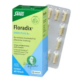 Floradix iron plus B12 vegan capsules, 40 pcs